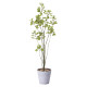 光触媒 人工観葉植物 造花 フィカスブランチツリー1.7 (高さ170cm)