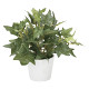 光触媒 人工観葉植物 造花 アイビ―S (高さ23cm)