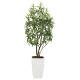 光触媒 人工観葉植物 フレッシュドラセナW1.8 (高さ180cm)