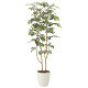 光触媒 人工観葉植物 マウンテンアッシュ1.6 (高さ160cm)