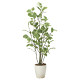 光触媒 人工観葉植物 造花 ポリシャス1.15 (高さ115cm)