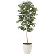 光触媒 人工観葉植物 造花 アルデシア(万両)1.3 (高さ130cm)