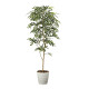 光触媒 人工観葉植物 造花 トネリコ1.8 (高さ180cm)