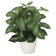 光触媒 人工観葉植物 造花 カラジュームM (高さ36cm)