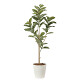 光触媒 人工観葉植物 造花 アルテシマ1.6 (高さ160cm)