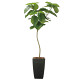 光触媒 人工観葉植物 造花 フレッシュアーバンウンベラータ1.8 (高さ180cm)