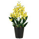 光触媒 人工観葉植物 造花 オンシジュームL (高さ53cm)