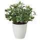 光触媒 人工観葉植物 造花 ミニリーフL (高さ36cm)
