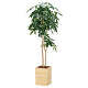 光触媒 人工観葉植物 造花 ウッドボックスパキラ1.6 (高さ160cm)
