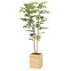 光触媒 人工観葉植物 造花 ウッドボックスマウンテンアッシュ1.6 (高さ160cm)