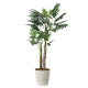 光触媒 人工観葉植物 造花 セローム1.8 (高さ180cm)