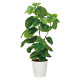光触媒 人工観葉植物 造花 フレッシュDXウンベラータ1.3 (高さ130cm)