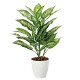 光触媒 人工観葉植物 造花 ディフェンバキアM (高さ60cm)