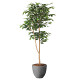 光触媒 人工観葉植物 造花 ナチュラルベンジャミン1.6 (高さ160cm)