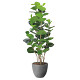 光触媒 人工観葉植物 造花 ナチュラルシーグレープ1.6 (高さ160cm)