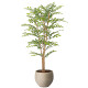 光触媒 人工観葉植物 造花 ナチュラルライトトネリコ1.1 (高さ110cm)