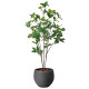 光触媒 人工観葉植物 造花 ナチュラルサラサドウダン1.0 (高さ100cm)