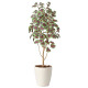 光触媒 人工観葉植物 造花 コリウス1.1 (高さ110cm)