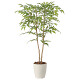 光触媒 人工観葉植物 造花 ソヨゴ1.0 (高さ100cm)