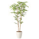 光触媒 人工観葉植物 造花 ソヨゴ1.3 (高さ130cm)
