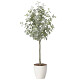 光触媒 人工観葉植物 造花 ユーカリツリー1.65 (高さ165cm)