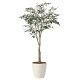 光触媒 人工観葉植物 造花 オリーブツリー1.85(組立式) (高さ185cm)