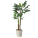 光触媒 人工観葉植物 造花 セロームW1.8 (高さ180cm)