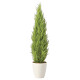 光触媒 人工観葉植物 造花 ゴールドクレスト1.35(ポリ製) (高さ135cm)