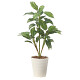 光触媒 人工観葉植物 造花 フィロ90 (高さ90cm)