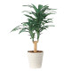光触媒 人工観葉植物 造花 ドラセナジャネット1.0 (高さ100cm)