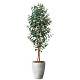 光触媒 人工観葉植物 造花 ナチュラルユーカリ1.8 (高さ180cm)
